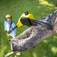 Best Landscape Design and Installation  in Centerville, CA