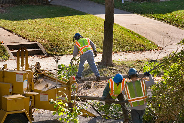 Best Tree Mulching  in Centerville, CA